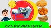 Machine De Fabrication De Roti Papada Gupchup à Odisha Fabricant De Roti Maker Papada Maker Gupchup Maker